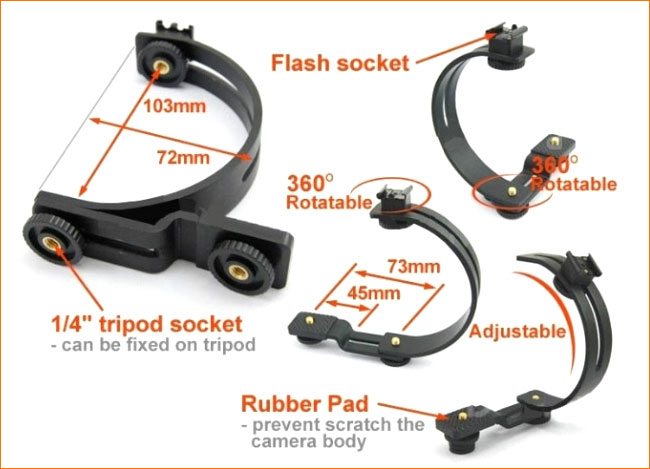 C-Shape11
